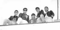 photo of Dose Brutal
